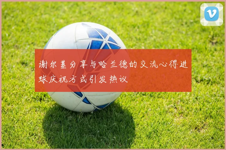 谢尔基分享与哈兰德的交流心得进球庆祝方式引发热议