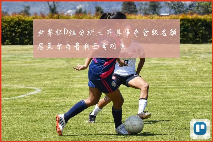 世界杯D组分析土耳其争夺晋级名额居莱尔与普利西奇对决