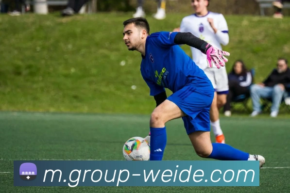 伟德体育平台生态图